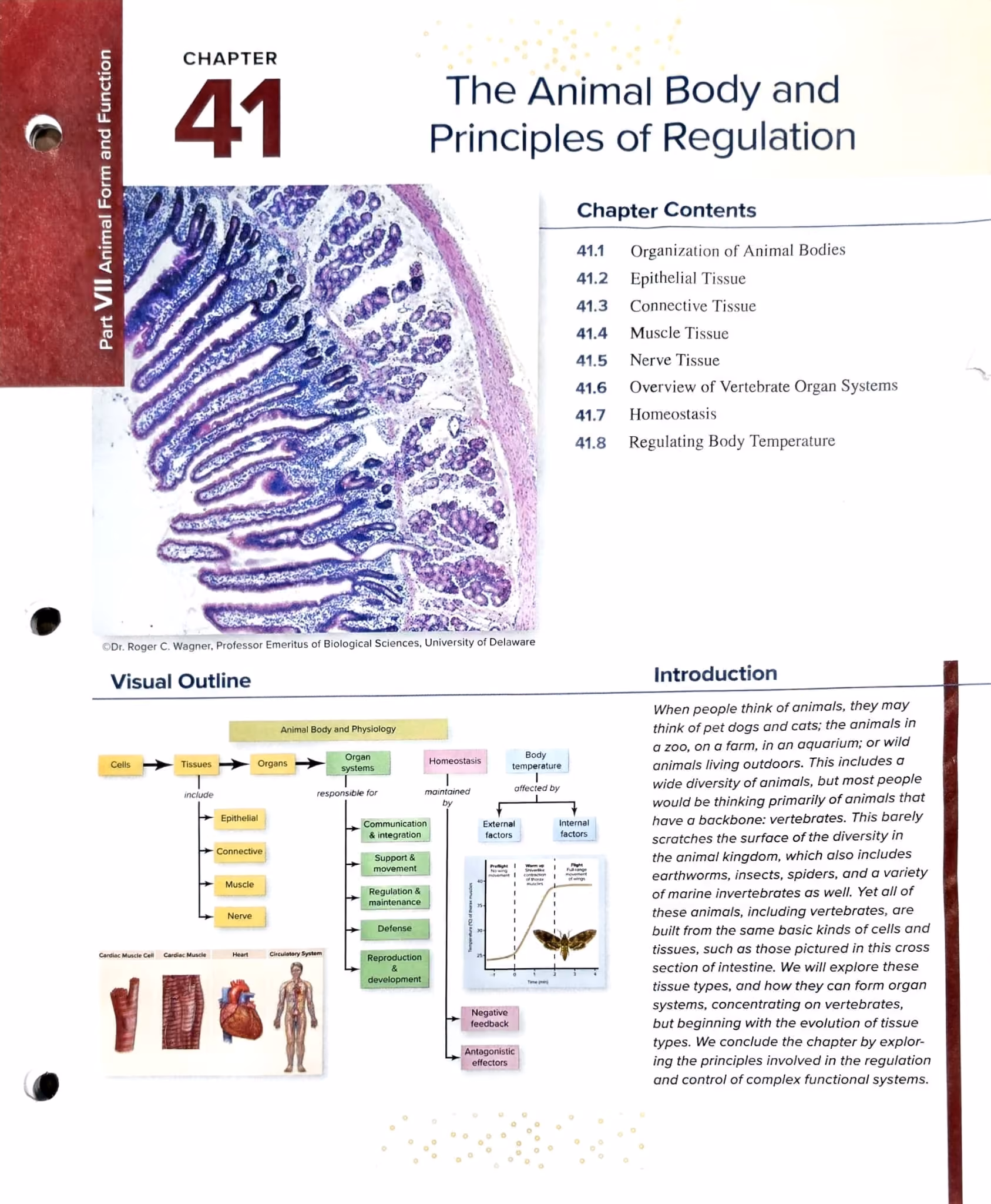 Textbook p. 899 — Chapter Opener — The Animal Body and Principles of Regulation