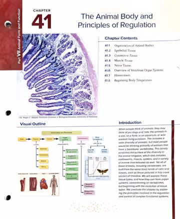 Textbook p. 899: Chapter Opener — The Animal Body and Principles of Regulation