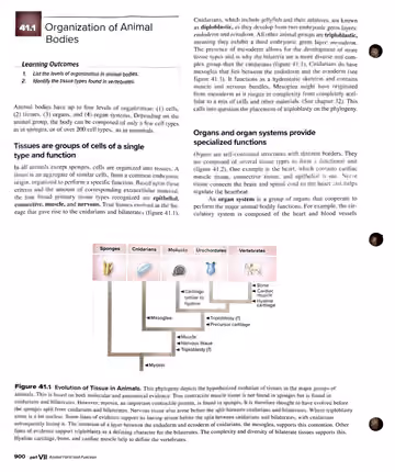 Textbook p. 900: 41.1 Organization of Animal Bodies