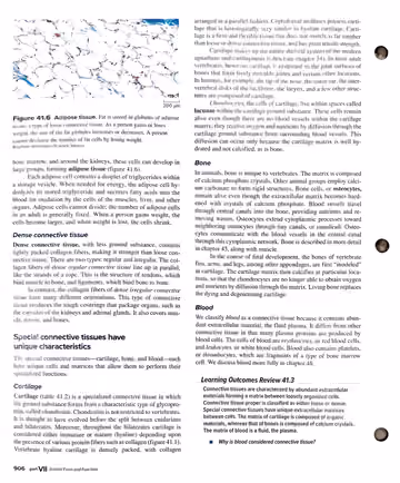 Textbook p. 906: 41.3 Connective Tissue (dense, special types)