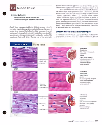 Textbook p. 907: 41.4 Muscle Tissue + Table 41.3