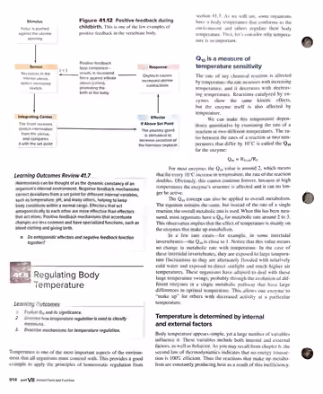 Textbook p. 914: 41.7 end / 41.8 Regulating Body Temperature (Q10)