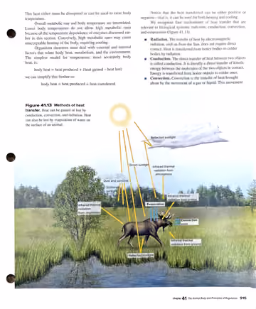 Textbook p. 915: 41.8 Heat transfer mechanisms
