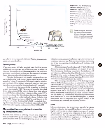 Textbook p. 918: 41.8 Thermogenesis and hypothalamic control