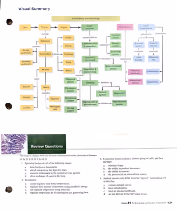 Textbook p. 921: Visual Summary + Review Questions (Understand 1-4)