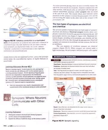 Textbook p. 932: 42.2 Review / 42.3 Synapses: Where Neurons Communicate with Other Cells