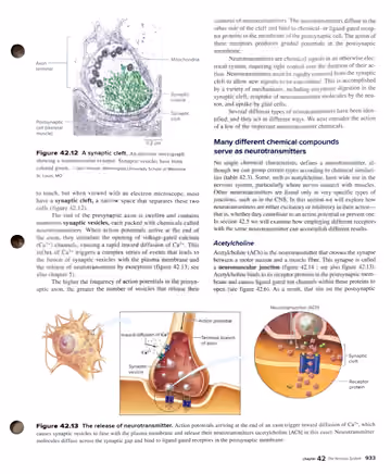 Textbook p. 933: 42.3 Synapses: Where Neurons Communicate with Other Cells