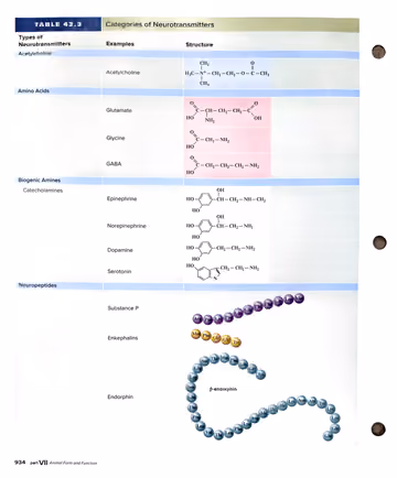 Textbook p. 934: 42.3 Synapses: Where Neurons Communicate with Other Cells