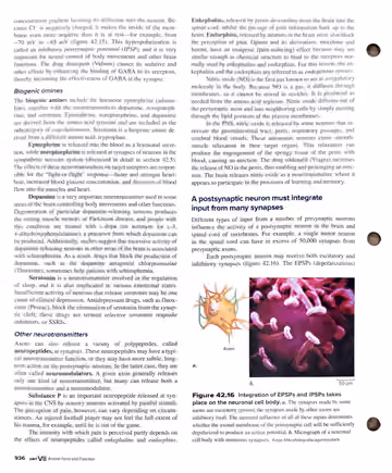 Textbook p. 936: 42.3 Synapses: Where Neurons Communicate with Other Cells