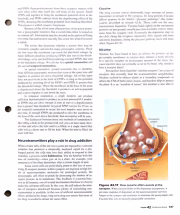 Textbook p. 937: 42.3 Synapses: Where Neurons Communicate with Other Cells