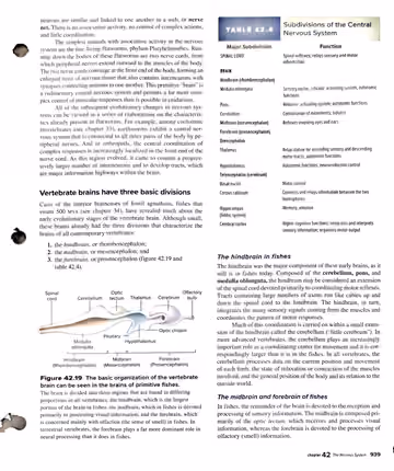 Textbook p. 939: 42.4 The Central Nervous System: Brain and Spinal Cord
