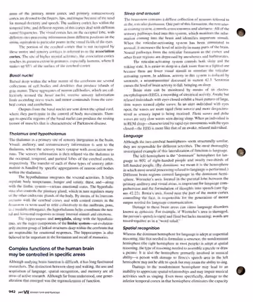 Textbook p. 942: 42.4 The Central Nervous System: Brain and Spinal Cord