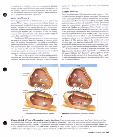 Textbook p. 943: 42.4 The Central Nervous System: Brain and Spinal Cord