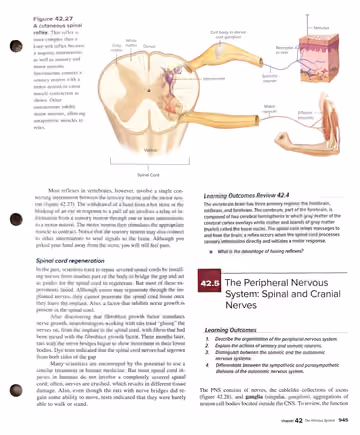 Textbook p. 945: 42.4 Review / 42.5 The Peripheral Nervous System: Spinal and Cranial Nerves