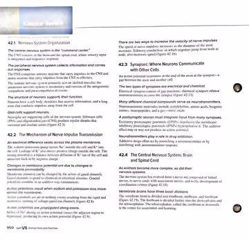 Textbook p. 950: Chapter Review (42.1-42.3)