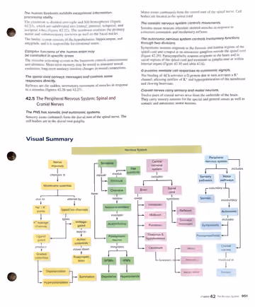 Textbook p. 951: Chapter Review (42.4-42.5) / Visual Summary