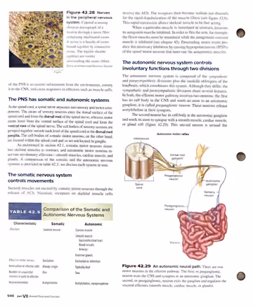 Textbook p. 952: Review Questions