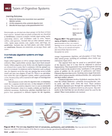 Textbook p. 1024: 46.1 Types of Digestive Systems