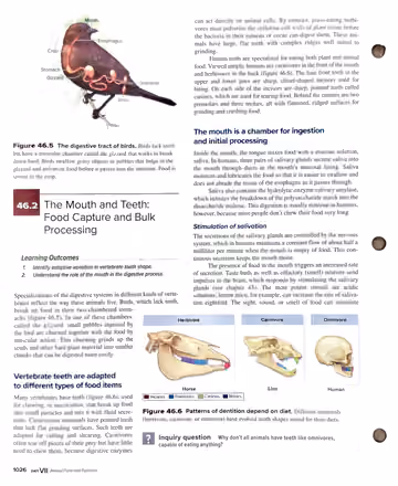 Textbook p. 1026: 46.2 The Mouth and Teeth: Food Capture and Bulk Processing