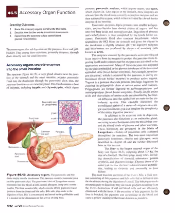 Textbook p. 1032: 46.5 Accessory Organ Function