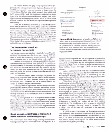 Textbook p. 1033: 46.5 (bile salts, liver homeostasis, insulin/glucagon)