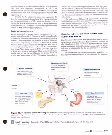 Textbook p. 1037: 46.7 (neuropeptides, energy balance model; essential nutrients)
