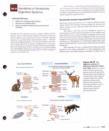 Textbook p. 1039: 46.8 Variations in Vertebrate Digestive Systems