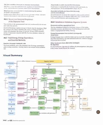 Textbook p. 1042: Chapter Review (46.5–46.8) + Visual Summary