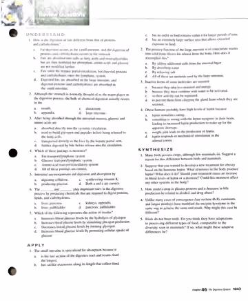 Textbook p. 1043: Review Questions (Understand / Apply / Synthesize)