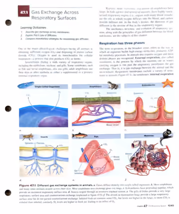 Textbook p. 1045: 47.1 Gas Exchange Across Respiratory Surfaces