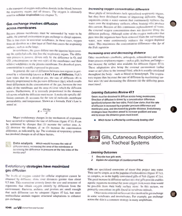 Textbook p. 1046: 47.1 (cont.) and 47.2 Gills, Cutaneous Respiration, and Tracheal Systems