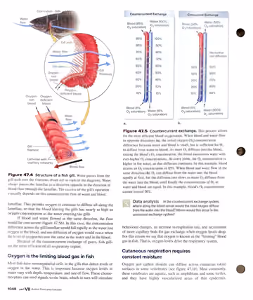 Textbook p. 1048: 47.2 Gills, Cutaneous Respiration, and Tracheal Systems
