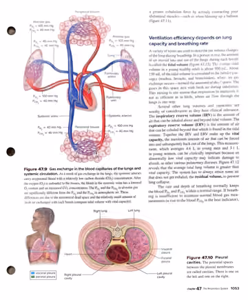 Textbook p. 1053: 47.4 Structures, Mechanisms, and Control of Ventilation in Mammals