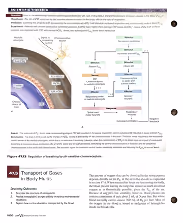 Textbook p. 1056: Scientific Thinking (fig 47.13) and 47.5 Transport of Gases in Body Fluids