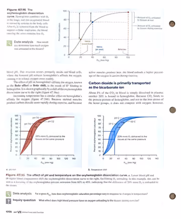 Textbook p. 1058: 47.5 Transport of Gases in Body Fluids