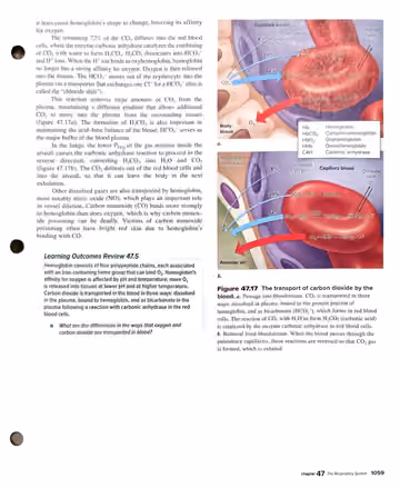Textbook p. 1059: 47.5 Transport of Gases in Body Fluids (CO2 transport)