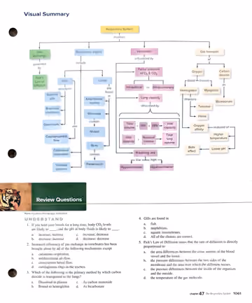 Textbook p. 1061: Visual Summary + Review Questions (Understand 1-5)