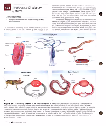 Textbook p. 1064: 48.1 Invertebrate Circulatory Systems