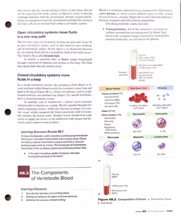 Textbook p. 1065: end of 48.1 Invertebrate Circulatory Systems; start of 48.2 The Components of Vertebrate Blood