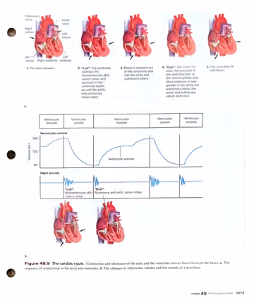 Textbook p. 1073: Figure 48.9 The cardiac cycle (5-step diagram + volume/sound graph)