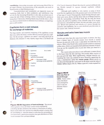 Textbook p. 1079: 48.5 Vasoconstriction/dilation and heat regulation; capillary network; Figure 48.14, 48.15