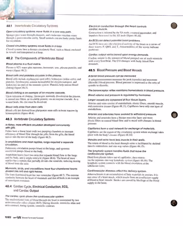 Textbook p. 1082: Chapter Review — condensed recap of sections 48.1 to 48.5