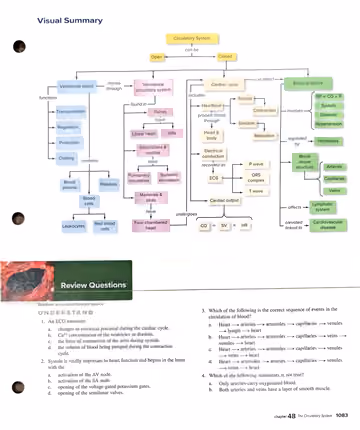 Textbook p. 1083: Visual Summary diagram; Review Questions (Understand) 1-4