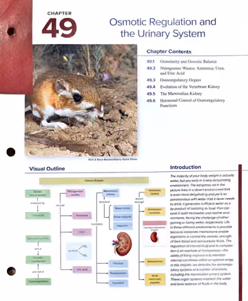 Textbook p. 1086 (opener): Chapter Opener