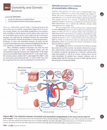 Textbook p. 1086: 49.1 Osmolarity and Osmotic Balance