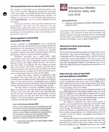 Textbook p. 1087: 49.1 Osmolarity and Osmotic Balance (end) → 49.2 Nitrogenous Wastes: Ammonia, Urea, and Uric Acid