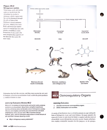 Textbook p. 1088: 49.2 (end) → 49.3 Osmoregulatory Organs