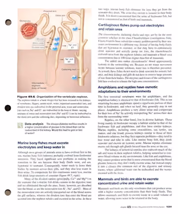 Textbook p. 1091: 49.4 Evolution of the Vertebrate Kidney (nephron structure; marine bony fish; cartilaginous fish; amphibians/reptiles)