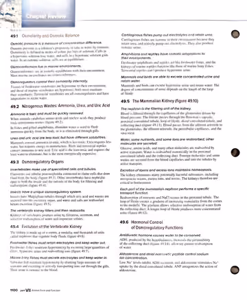 Textbook p. 1100: Chapter Review (49.1-49.6 condensed)