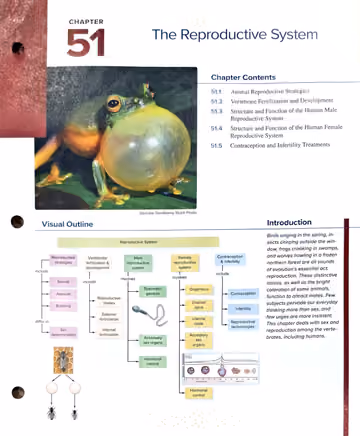 Textbook p. 1133: Chapter Opener — The Reproductive System